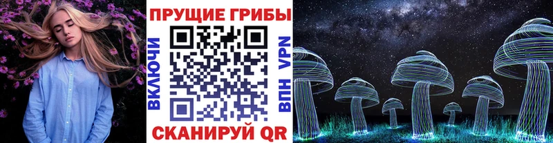 Галлюциногенные грибы Magic Shrooms  Купить где  Навашино 